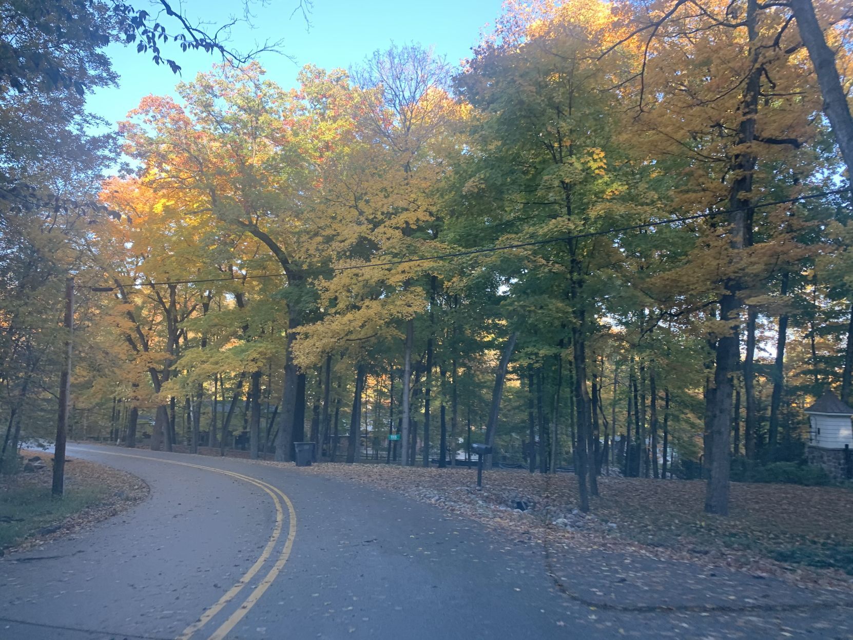 Snake Road fall colors